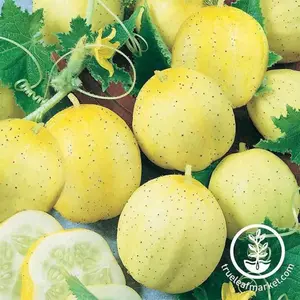 Cucumber Seeds - Lemon Cucumber Seeds - Lemon