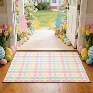 Easter Door Mat, Colorful Plaid Design, Macaron Style No-Fuzz Rug, Checkered Area Rug, Easter Gift, Holiday Home Decor Carpet, Suitable for Entryway, Hallway, Bedroom