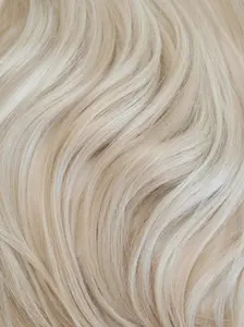 Ash Blonde (60) Swatch
