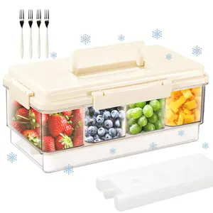 Portable Snackle Box Container with Ice Pack, Cooling Travel Charcuterie Box with Lid, Snack Cooler with Divided Serving Tray, with 4 Compartments and Forks, for Outdoor Parties, Picinics Kitchen Set Utensils Reusable