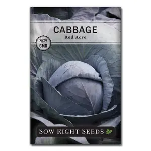 Red Acre Cabbage Seeds