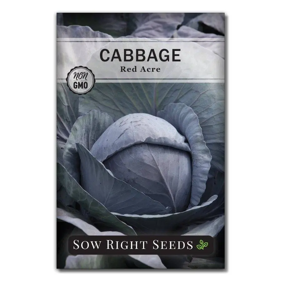 Red Acre Cabbage Seeds