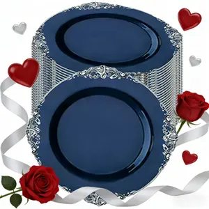 10 Piece Silver Blue Vintage Plastic Plates, Silver Edge, 10.25 Inch Dessert Salad Dinner Plates, Suitable for All Occasions