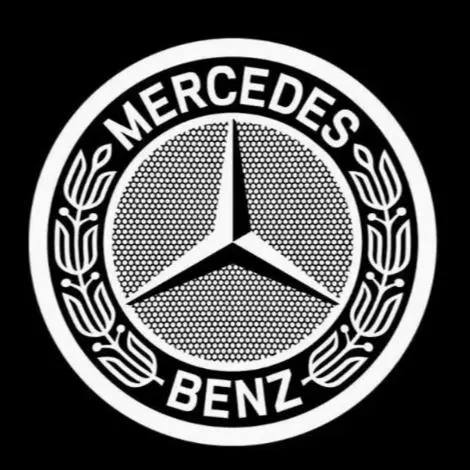 For Mercedes Benz Wheat Ear-2pcs