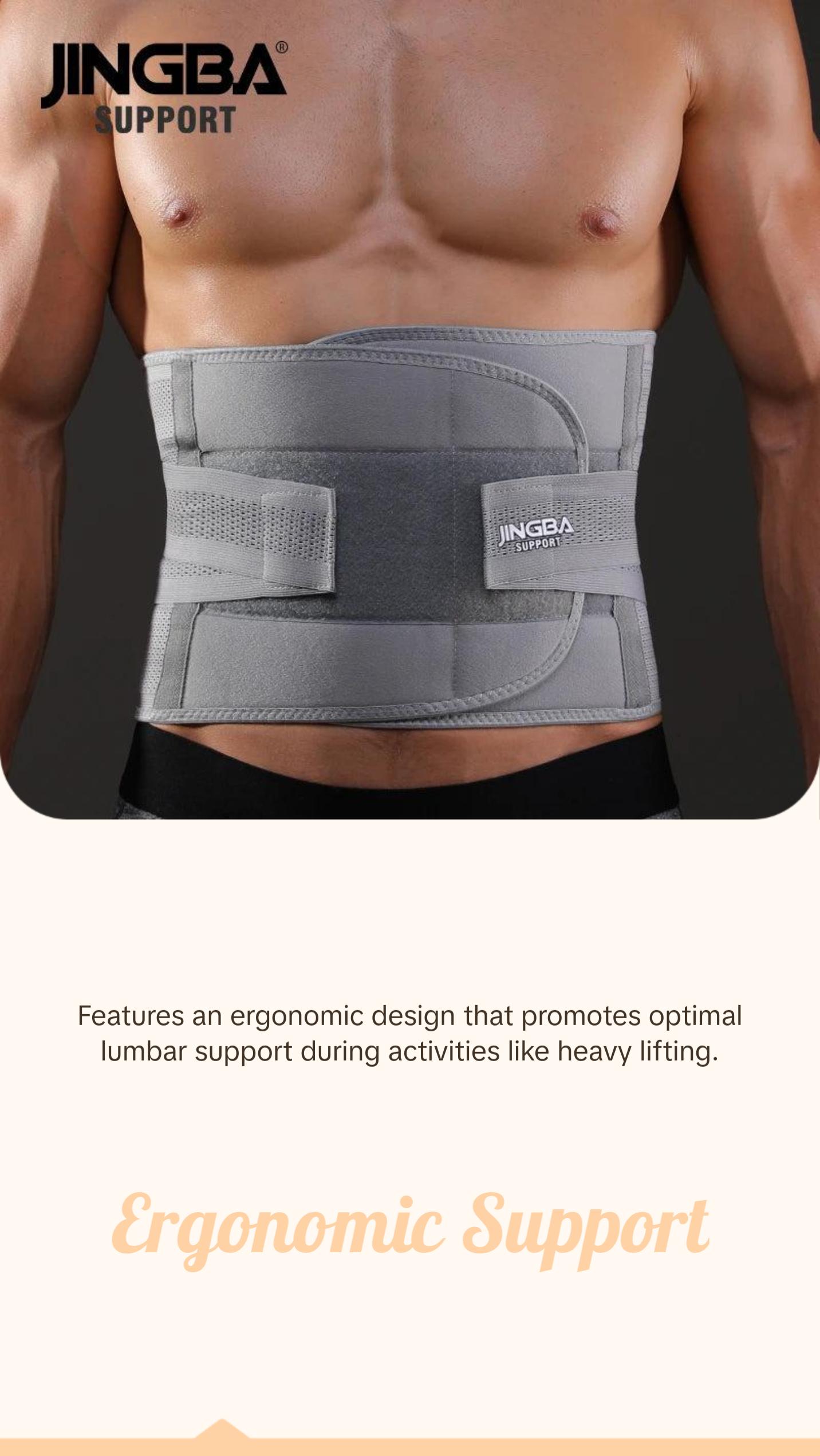 Back Support Belt