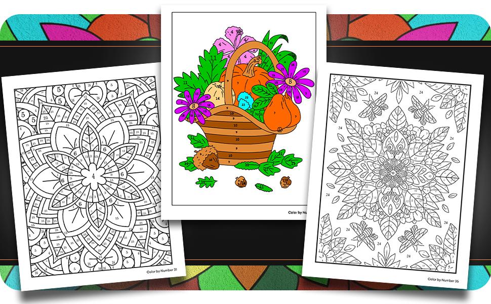 Color By Number For Adults: 75 Beautiful Pictures Designed For Fun, Adult Relaxation & Stress Relief Coloring For Hours On End (includes Flowers, Animals, Mandala, Nature, Landscapes & Much More)