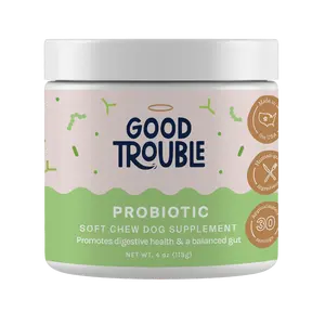 Probiotic Supplement Probiotic Supplement
