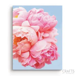 Crafts by Numbers Pink Floral Art Paint by Numbers Kit - Perfect for Beginners