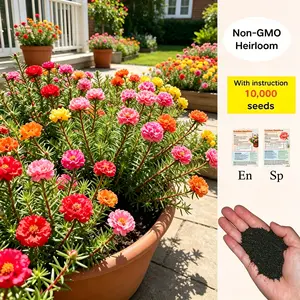 【SummerVibes】10,000 Portulaca Seeds - Double-flowered Moss Rose Annual Perennial Flower Seeds for Planting Outdoors Non GMO Mixed Colors Large Blooms Attract Pollinators Easy to Grow All Seasons