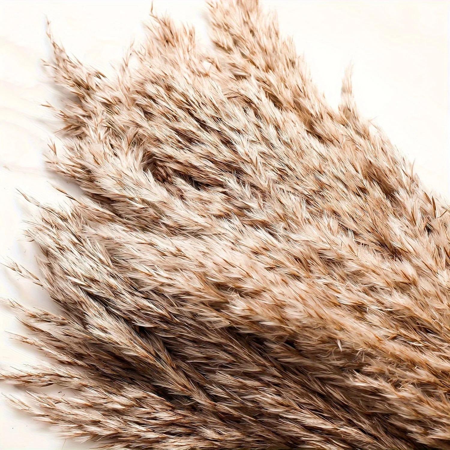 20 Pcs 23 Inch Tall Fluffy Pampas Grass XL Size Brown Dry Pompous Grass Decor Wedding Flower Boho Decor Natural Pompas Flower