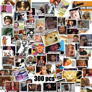 300PCS Meme Stickers, Meme Stickers for Teacher, Funny Meme Stickers for Laptop, Phone, All Ages Students Grading