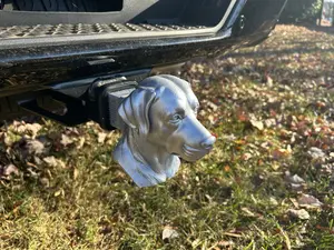 Labrador Retriever - Snap-in fit | 2” Tow Hitch Cover | Premium Truck Accessory