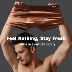 2025 Trending Mulberry Silk Men's Ice Silk Underwear Antimicrobial Men's Boxer Briefs