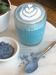 Enoki Blue Matcha Coffee 7 onz