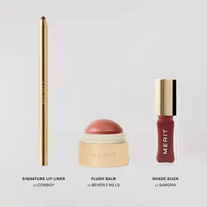 The Brown Pinks Set - Lip Liner, Blush, & Shade Slick Lip Oil Trio