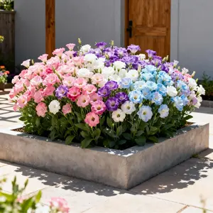 1000+ Thornless Lisianthus Seeds Vibrant Rose Wildflower Non-GMO Perfect for Indoor & Outdoor Gardens Multi-Color Bloom