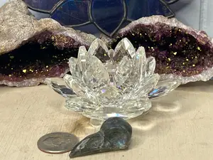 Labradorite Bird Skull