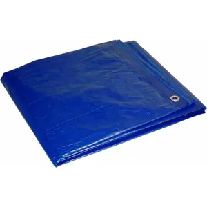 Multi-Purpose Economy Poly Tarp, 20x30 Feet, Blue