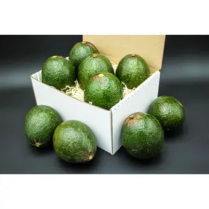 9 Reed Avocados - A large avocado with bold flavor