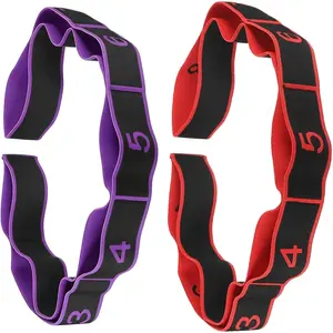 2 Pcs Fitness Resistance Band for Stretching and Yoga, Number Stretch Resistance Band with Clear Markings, 8-Section Elastic Training Bands