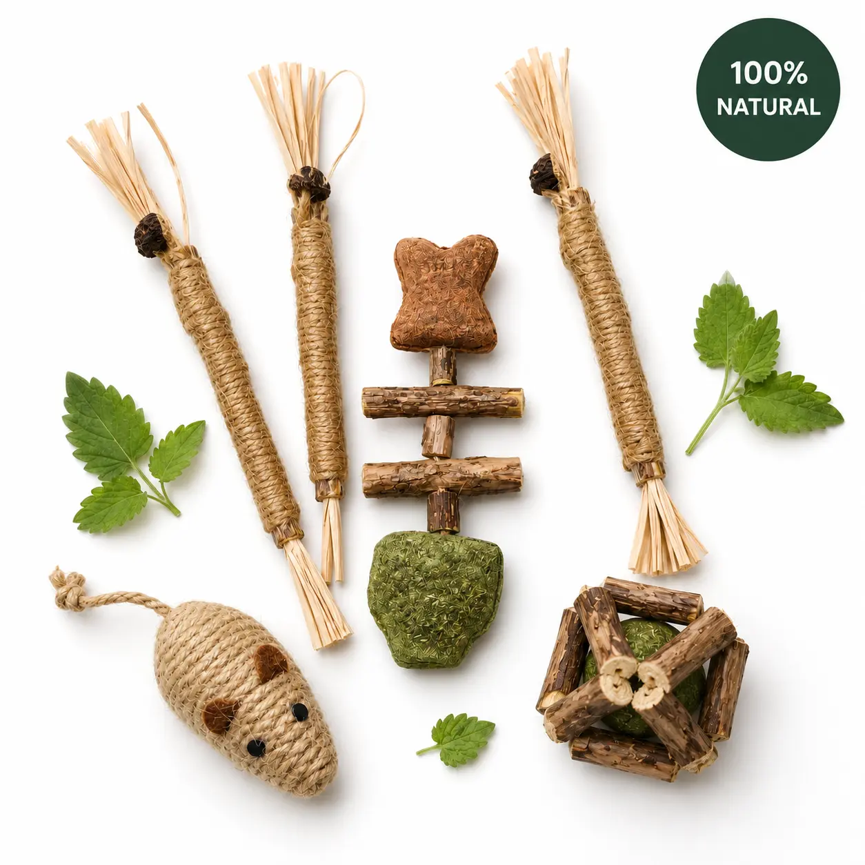 Natural Silvervine Cat Toys 6-Pack - Interactive Dental Aid for Indoor Cats, Catnip Chew Sticks, Matatabi Fish Bone, Sisal Rope Mouse, Cage Ball, Universal Kitten Teething & Stress Relief Toys, No Plastic, Indoor Play