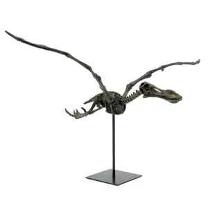 Flying Pterosaur Dinosaur Fossil Decor