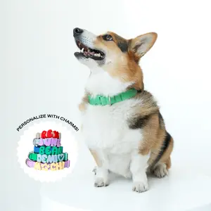 Waterproof Dog Collar Waterproof Dog Collar