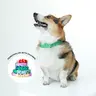 Waterproof Dog Collar