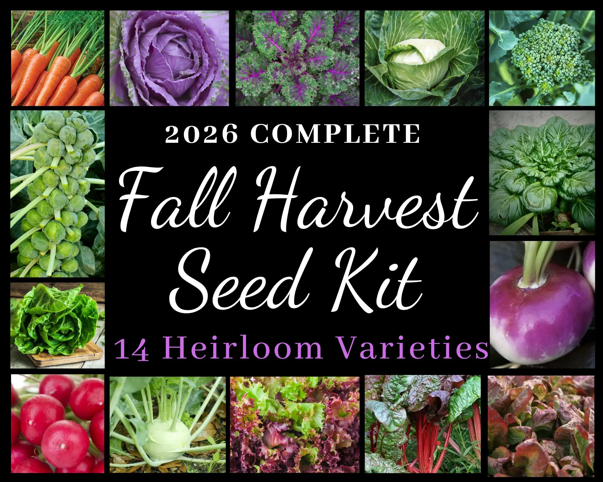 Fall Harvest Seed Kit