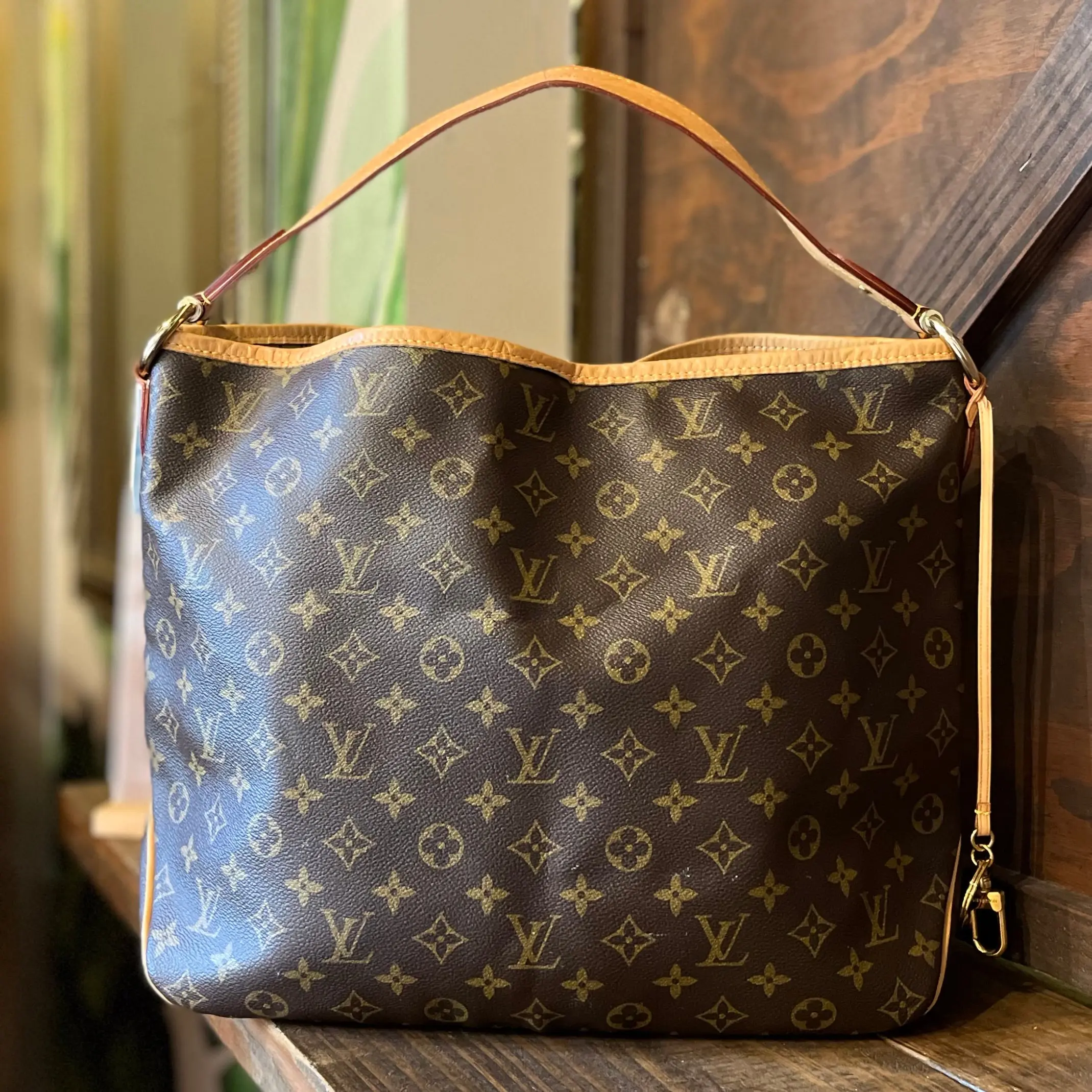 LOUIS VUITTON Delightful Brown Monogram Canvas Hobo