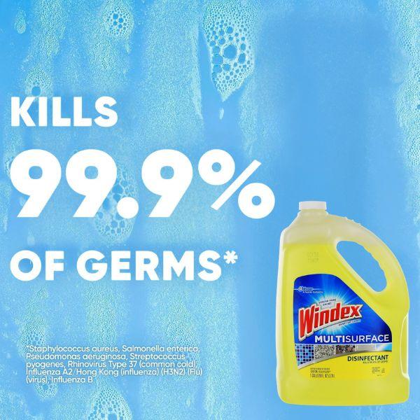 Windex Disinfectant Multisurface All-Purpose Cleaner Refill, 1 Gallon, Citrus Scent, Kills 99.9% of Germs, Glass & Surface Cleaner for Home, Kitchen, Bathroom & Office Use