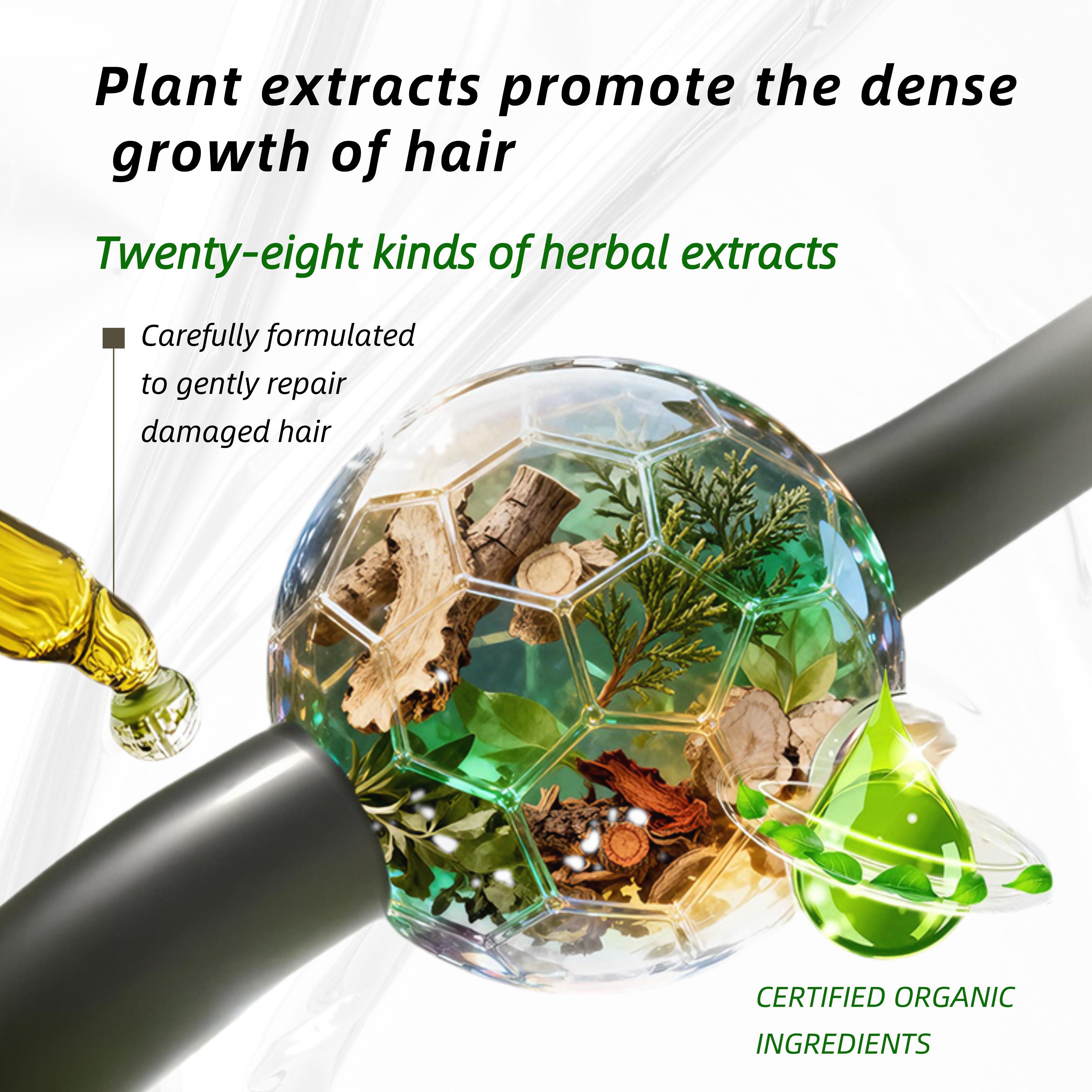 DelvoLisi [FDA Certified] Professional Gentle Hair Growth Toner and Botanical Hair Care Series - Contains natural plant ingredients and scalp extracts to effectively reduce hair loss | Suitable for both men and women