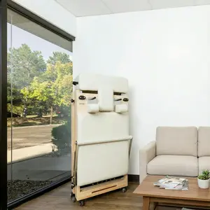 Janet Elite Plus – Premium Foldable Pilates Reformer - RE016