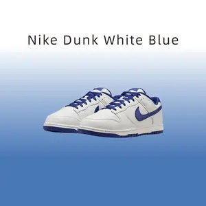 Nike Dunk Low Top Skateboard Shoes Men's White Blue Gray Comfortable Sneakers-HF5441-117