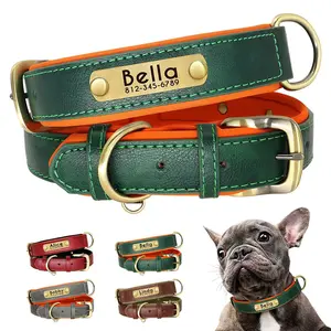 Customized Leather Dog Collar – Soft Padded with Engraved ID Nameplate for All Dog Sizes