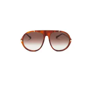 Chloe Aly Sunglasses in Havana, Gold, & Brown