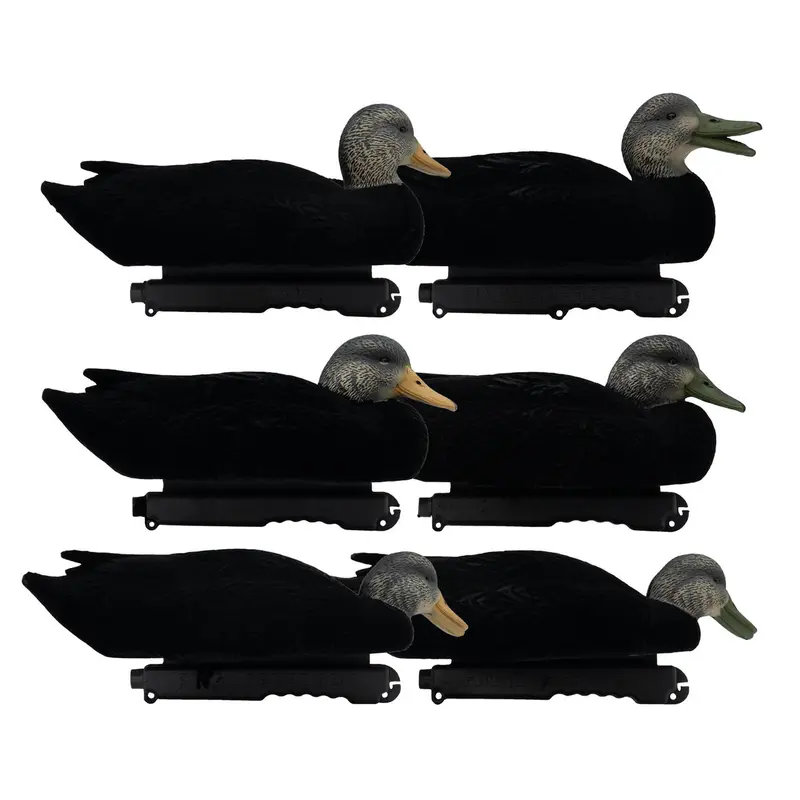 Final Approach LIVE Flocked Black Duck Decoys, 6 Pack