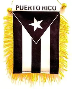 Puerto Rico Black & White Window Hanging Flag - Rear view Mirror & Double Sided - Fringed Puerto Rican Mini Banner with Suction Cup