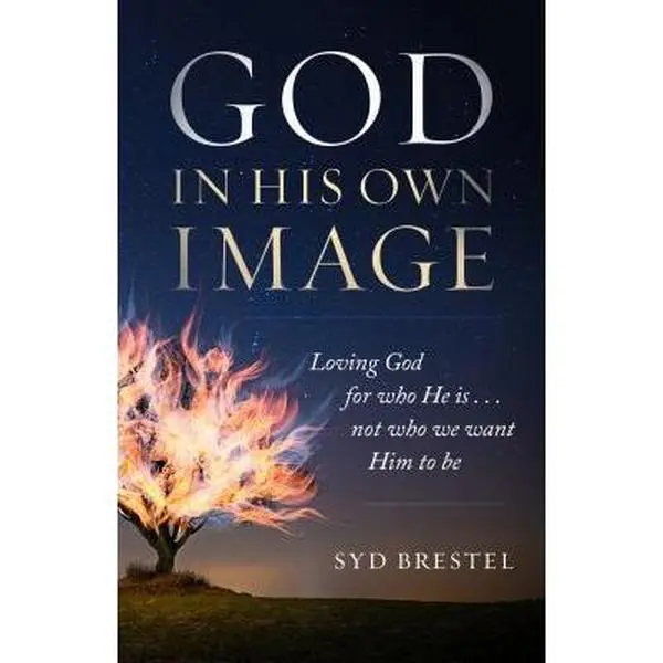 USED Book - God in His Own Image: Loving God for Who He Is... Not Who We Want Him to Be by Brestel, Syd (Paperback) - english