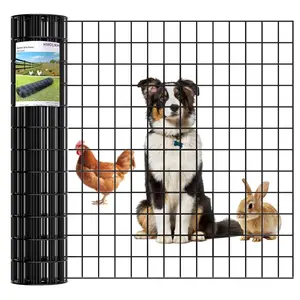 Black PVC Coated Welded Wire Fence 36 Inch x 50 Foot, 2 Inch x 3 Inch 16GA, Garden Border Fencing Roll Vinyl Coating Metal Wire Mesh for Yard Vegetable Plant Protection Poultry Netting