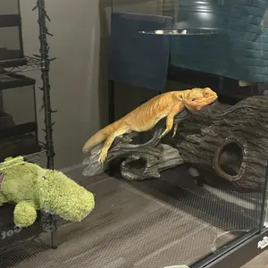 4x2x2 (120 Gallon) Reptile Enclosure V3