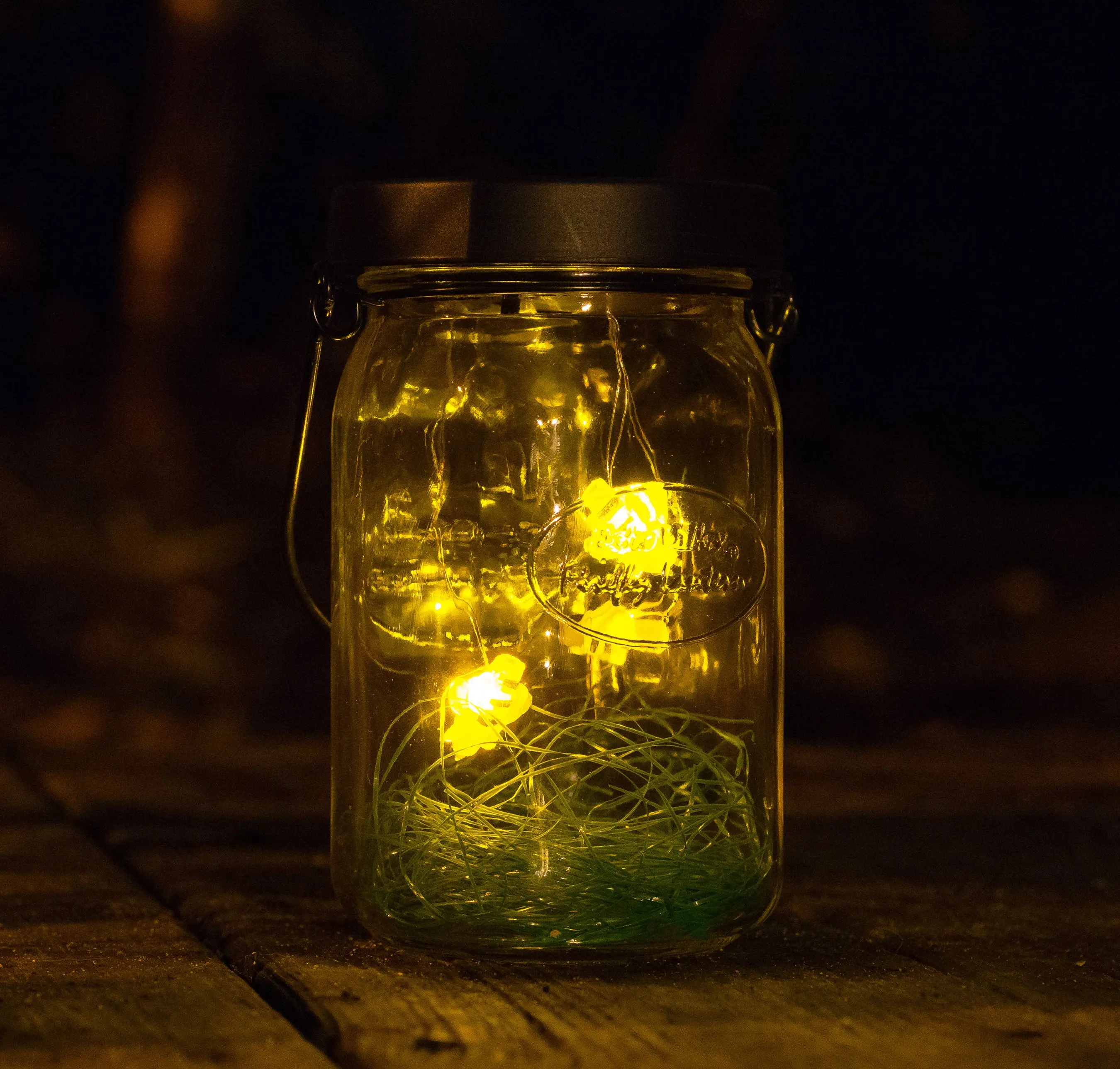Firefly Lantern