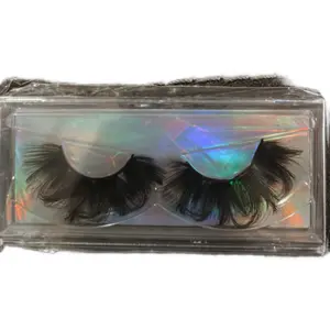 Dolly Lashes - Natural Look Eyelashes for a Flawless Makeup Look