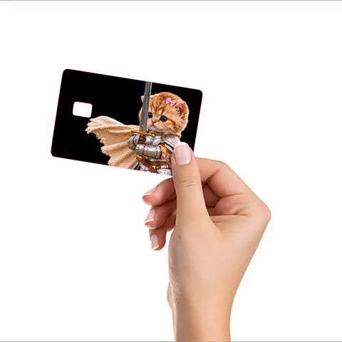 Sword kitty Credit Card Sticker