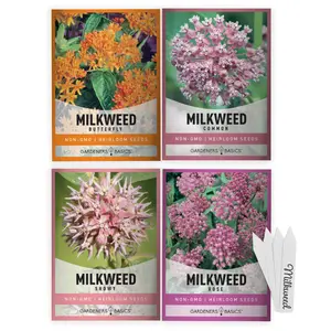 Milkweed Seeds For Monarch Butterflies | 4 Variety Pack Milkweed Seeds For Monarch Butterflies | 4 Variety Pack