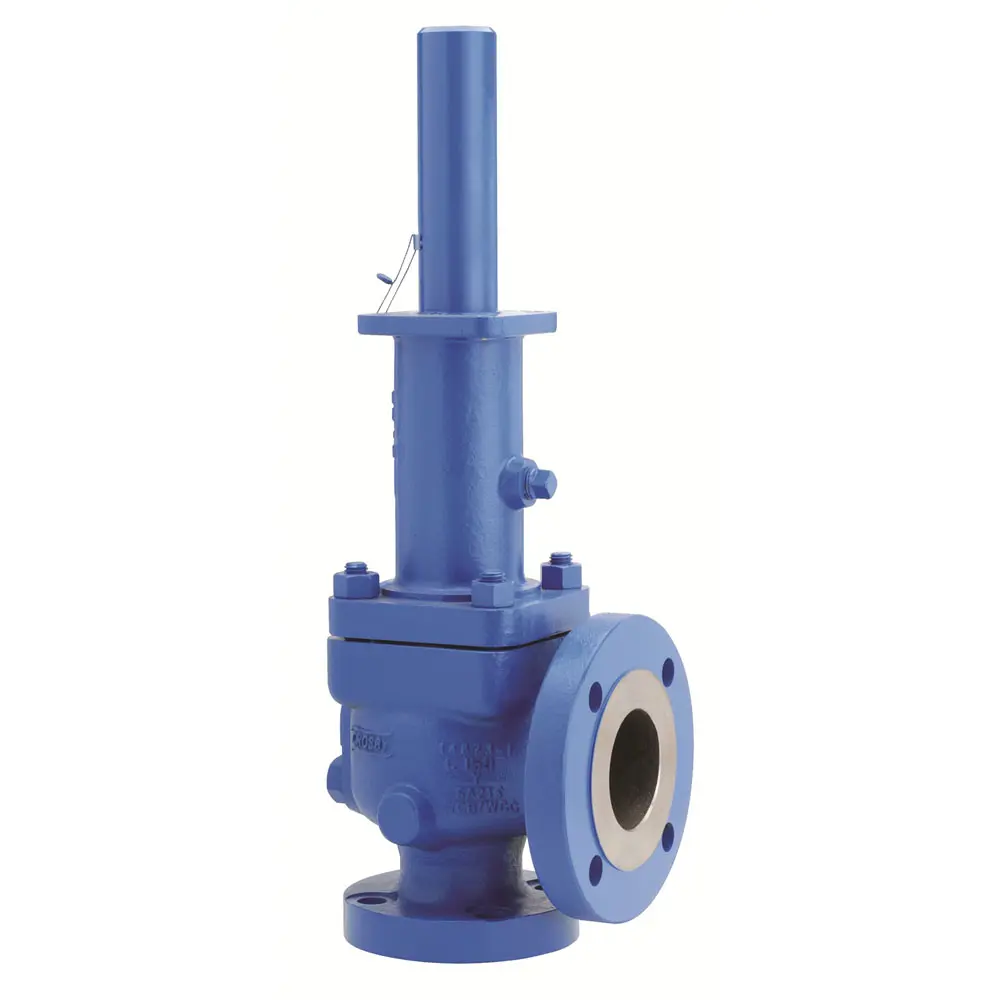 Crosby 1D2JOS-E15C J-Series Direct Spring Pressure Relief Valves