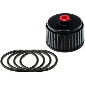 VP Racing Fuels 3042 Utility Jug Cap (1 Pack) and 3043B Replacement O-Ring (4 Pack) - Fits VP Racing Fuels Utility Jugs, Motorsport and Sportsman Containers
