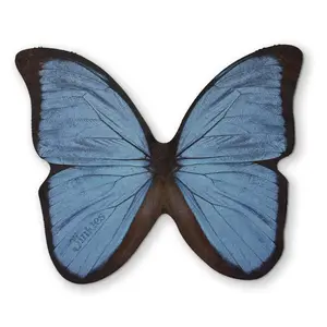 🦋 A BUTTERFLY YOU CAN CLEAN YOUR GLASSES WITH