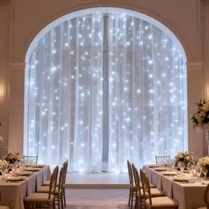 White LED Fairy Curtain Lights 300 LEDs 9.8ft x 8.86ft USB Plug-in 8 Modes Christmas Decor Remote Control Dimmable Timer IP44 Weatherproof for Bedroom Weddings Dorm Decor