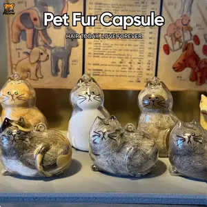 Cat Hair Storage Keychain - Transparent Cat Fur Holder Necklace, Personalized Pet Memorial Gift for Cat Lovers, Mini Cat DNA Pendant, Collect & Display Pet Fur